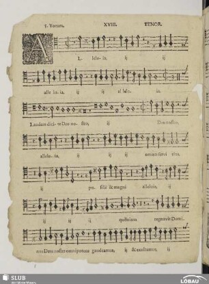 XVIII. Alleluia laudem dicite Deo nostro