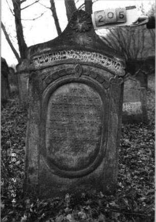 Grabstein 205 (Index: 99752081) Material: Sandstein Zustand: leicht verwittert Maße HxBxT: 144x71x14 cm Beschreibung: Stele, Eselsbrückenabschluß, ovales Schriftfeld eingetieft Symbolik: Scheibenfries, stilisierte Pilaster neben dem Schriftfeld, Blüte, Schriftband: Grabstein 205