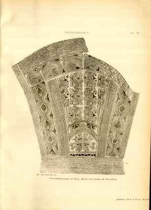 Taf. 97. Tätowierung P. Schenkeltätowierung der Kenja. Muster der Freien Uma-Leken
