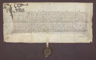 Petrus de Lapide, Generalvikar des Bischofs Matthias von Speyer, verleiht der Kaplaneipfründe des St. Ulrichsaltars auf dem Schloß zu Baden gewisse Pfarrrechte