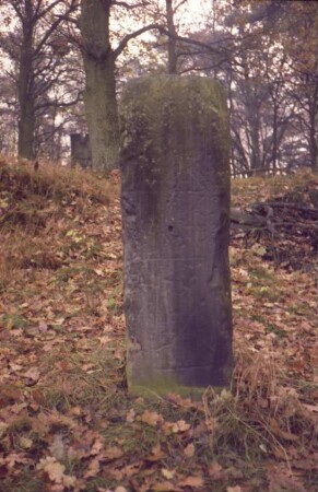 Waldstück westlich Hof Bornbek: Bildstein [Nr. 45, auch trigonometrischer Punkt]