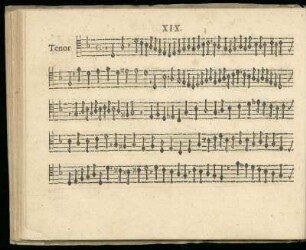 XIX. Sine textu
