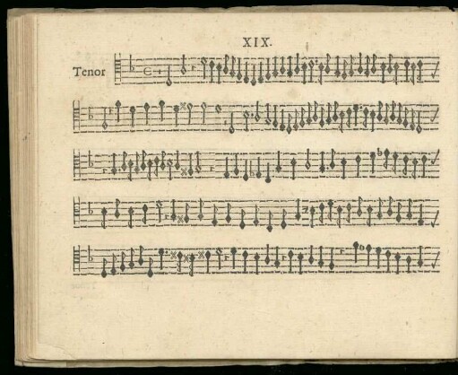 XIX. Sine textu