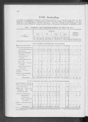 XVIII. Rechtspflege