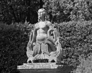 Sirene