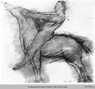Reiter