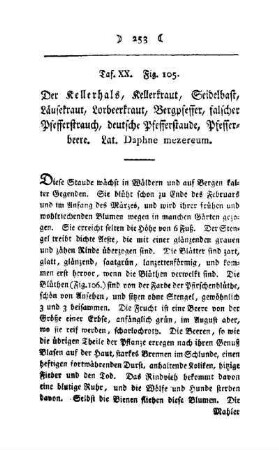 ¬Der¬ Kellerhals : Taf. XX, Fig. 105