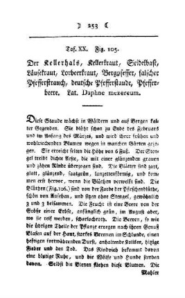 ¬Der¬ Kellerhals : Taf. XX, Fig. 105