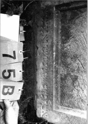 Grabstein 75 (Index: 99751822) Material: Sandstein Zustand: leicht verwittert Maße HxBxT: 147x55x28 cm Beschreibung: Abdeckplatte m. Volutenaufsatz m. Mittel-u. Eckakrot. , rechteck. Schriftfeld eingetie Symbolik: Voluten, Ranken: Grabstein 75B