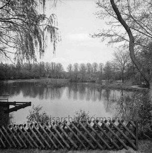 Mühlenteich: vorn Jägerzaun: links Wehr: hinten Mitte Insel: vorn rechts und links sowie am gegenüberliegenden Ufer Bäume