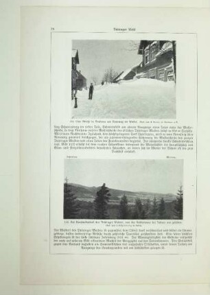 116. Der Nordwestabfall des Thüringer Waldes, von der Finstertanne bei Tabarz aus gesehen