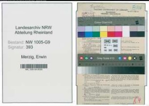 Entnazifizierung Erwin Merzig , geb. 05.02.1893 (Baumeister)