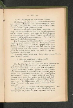 6. Die Blutungen im Rückenmarkskanal.
