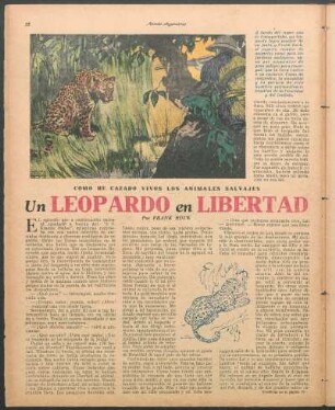 Un leopardo en libertad : Cómo he cazado vivos los animales salvajes