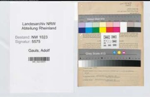 Entnazifizierung Adolf Gauls , geb. 13.06.1902 (Angestellter)