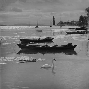 Archivfotografie "bodensee_hagnau_19753neg"