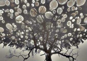 Der letzte Herbst II