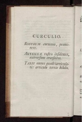 CURCULIO