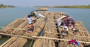 Bamboo Stories