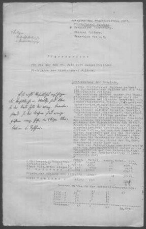 Waldsee-Alttann mit Diaspora: Pfarrbericht 1925