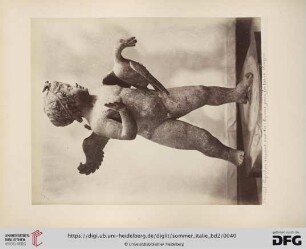 No. 5678. Cupidon servant une oie: bronze pour fontaine - Pompei
