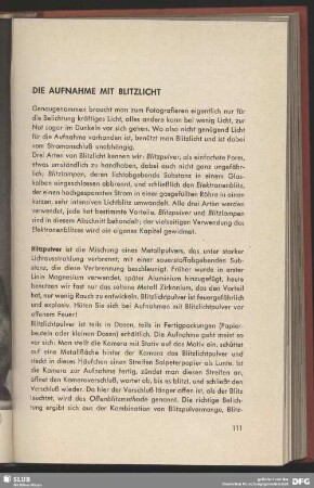 Die Aufnahme mit Blitzlicht