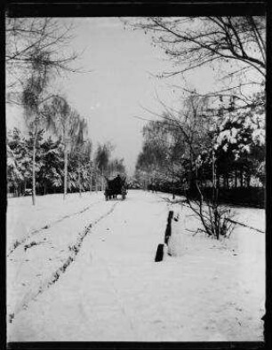 Ohne Titel (Winterliche Straße, vermutl. Ahornallee)