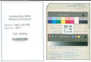 Entnazifizierung Hedwig Lips , geb. 00.00.0000 (Lehrerin)