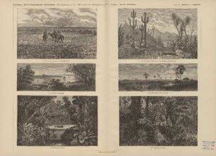 a. Aus der Prairie (südl. vom Winnipegsee)