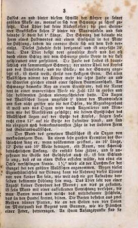 Der Wallfisch und Wallfischfang