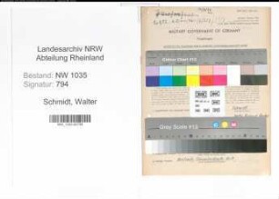 Entnazifizierung Walter Schmidt , geb. 02.05.1900 (Arbeiter)