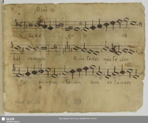 [Josquin des Prez:] Qui regis Israel