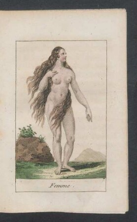 Tafel: Femme.