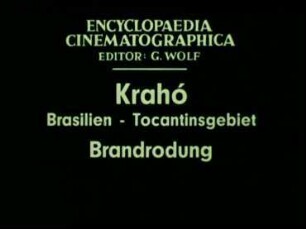 Krahó (Brasilien, Tocantinsgebiet) - Brandrodung