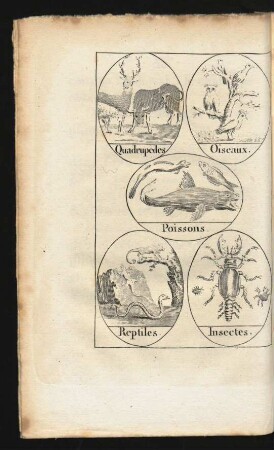 Tafel: Quadrupedes. Oiseaux. Poissons. Reptiles. Insectes.