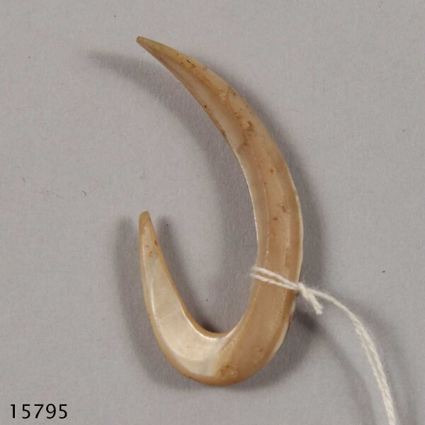Fishhook