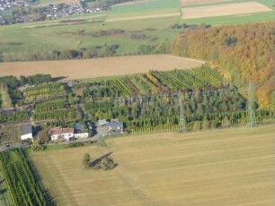 Malmeneich bei Hundsangen