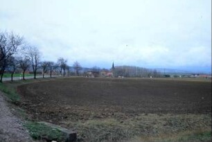 Acker, Straße mit Bäumen, Blick zum Ort