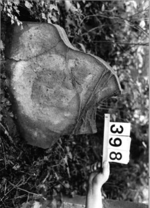 Grabstein 398 (Index: 99804210) Material: Sandstein Zustand: Fragment Maße HxBxT: 55x55x7 cm Beschreibung: Stele mit eingezogenem Rundbogen - Fragment: Grabstein 398