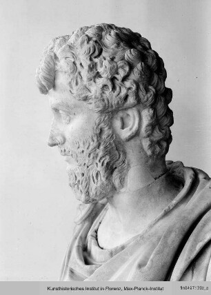 Kaiser Septimius Severus (Kopf auf nicht zugehöriger Büste) : Kaiser Septimius Severus (Kopf)