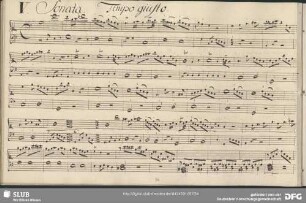 Sonata 5, C-Dur