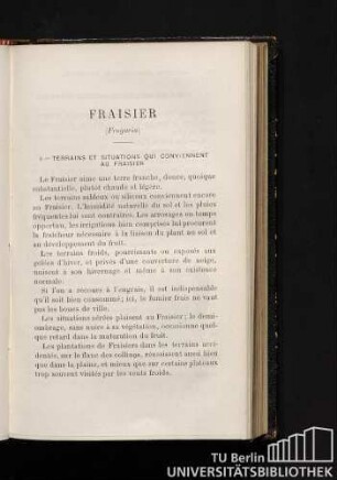 Fraisier (Fragaria)