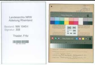 Entnazifizierung Fritz Thasler , geb. 08.12.1902 (Schlosser)