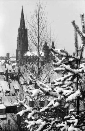 Freiburg: Blick vom Schlossberg auf verschneite Sträucher und Münster