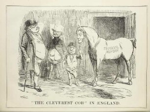 "The cleverest cob" in England