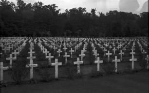Reichswald: Englischer Soldatenfriedhof, Kreuze