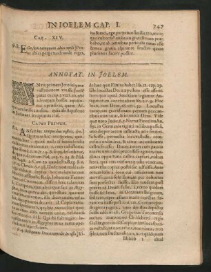 Annotat. In Joelem.