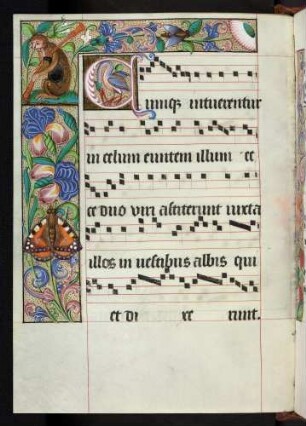 Bordüre, Zierintiale: C(umque)