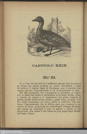 Capitolo XXIX. Dell'oca