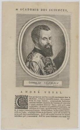 Bildnis des Andreas Vesalius